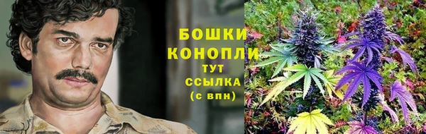 гидра Баксан