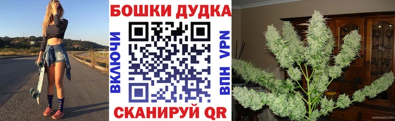 Каннабис сатива  ОМГ ОМГ ссылки  Среднеколымск  где продают  